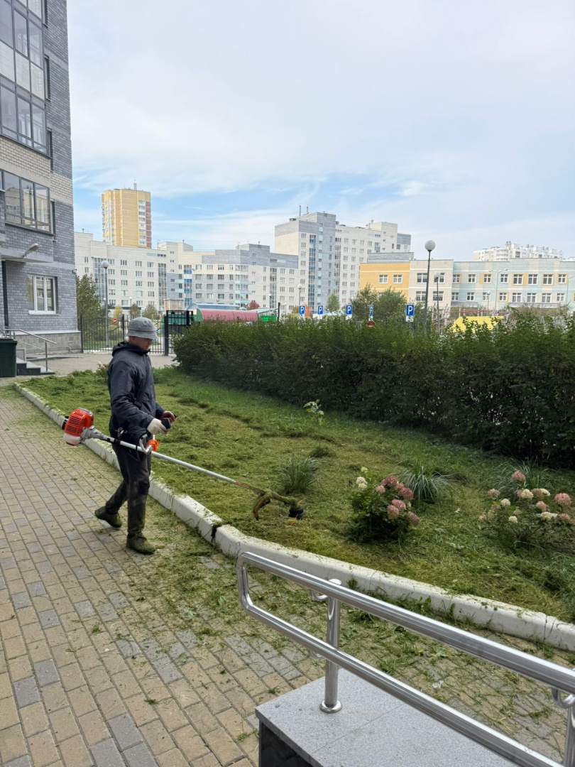 Покос сентябрь 1.jpg