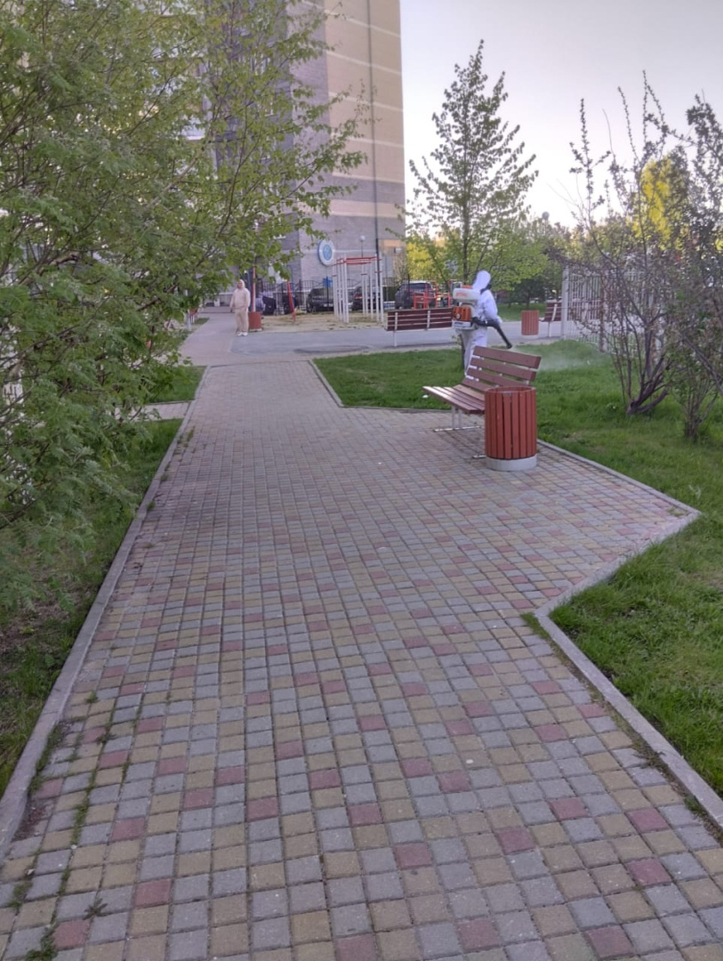 Обработка 1.jpg