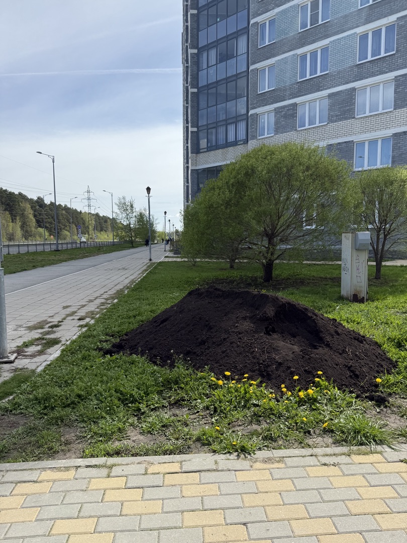 Завоз почвогрунта май.jpg