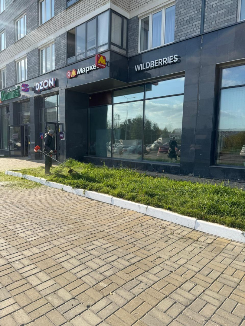 Покос сентябрь 4.jpg