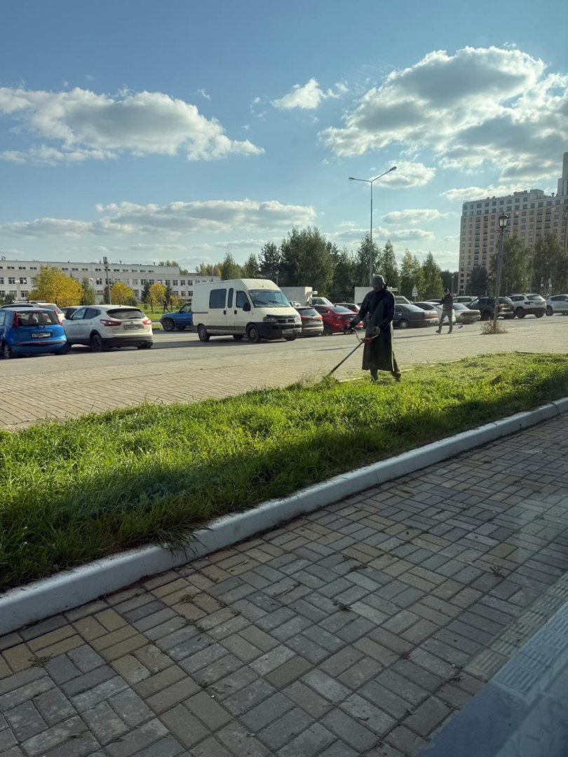 Покос сентябрь 5.jpg